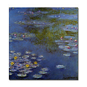 dipinti a mano olio gigli d'acqua dipinto di Claude Monet con telaio allungato