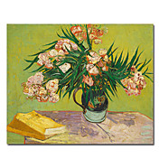 dipinti a mano olio su tela di Vincent van Gogh con telaio allungato