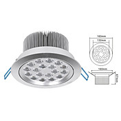18W LED Spot light in Warm White Light Source