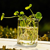 moderno florero de vidrio transparente central