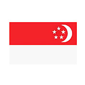 10 Stück Singapur temporaty Tattoo-Aufkleber