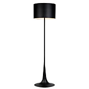 40W Floor Light in Black Electroplate Finish