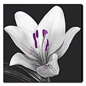 Trykt Botanical White Flowers Canvas Art med Lærredstryk Frame