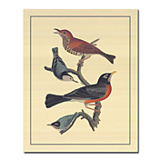 Illustratie op gespannen doek Prints Animal 20 "x 24" Tall