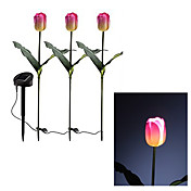 Solar Lighted Tulip Style Garden Stake Lamp (3-Pack)