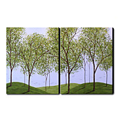 peints à la main peinture à l'huile paysage surdimensionné avec l'ensemble cadre étiré sur 2