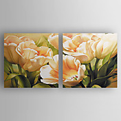 Dipinti a mano Pittura Paesaggio terrestre Olio floreale oversize Set di 2