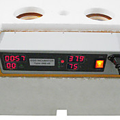 JANOEL New Automatic Digital Incubateur à oeufs Turber