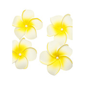 Casques de fleurs en mousse Fleur femme, 4 pièces par lot