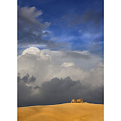 Printed Art Landscape  by Maciej Duczynski