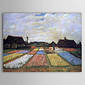 Berühmte Ölgemälde Beete-in-holland von Van Gogh