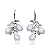 Shining Platinum Plated Pearl Earrings with Cubic Zirconia