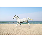 Printed Art Animal White Horse by Bob Langrish