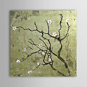 Dipinti a mano olio pittura floreale 1305-FL0104