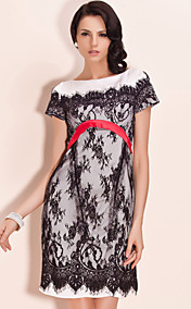 ts élégante robe fourreau en dentelle
