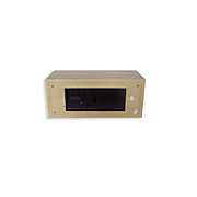  Fashion Wooden White LED Alarm Clock with Thermometer (TRA066)