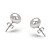  14k Gold White 9.5-10mm AA Freshwater Pearl Earring