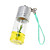  Real+Growable Lucky Bamboo Plant In-a-Bottle Keychain (2-Pack)