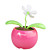  zonne-energie flip flap bloem plant