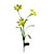  Solar-LED-Licht Blume (1049-cis-28077)