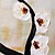  håndmalte botaniske oljemaleri med strukket ramme - sett med 3