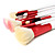  Professional Makeup Brush with Free Leather Pouch