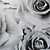  venus contemporânea floral rosa papel de parede 4 cores