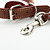  eleganten Stil Hundehalsband aus Leder und Leine (braun)