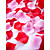  Multi-Color Rose Petals Table Decoration (Set of 5 Packs)