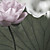 Lotus Blossom moderne mural Nature Botanique