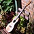  Rainie - (T-50) Professional-Grade Solid Acacia Koa Tenor Ukulele with Gig Bag/Tuner (Pearl Binding)