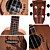  Rainie - (CP-01) High-Grand Solid Mahogany Concert Ukulele with Gig Bag/Tuner (Plant Tatoo)