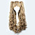  Lolita Curly Wig Inspired by Brown Gradient Cute Double Ponytail 70cm Princess