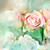  Pink Roses Floral Nature Mural