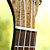  Koa Pili Koko - (Ac-sl)  All-solid Koa Extended Fingerboard Soprano Ukulele with Bag/Strap