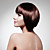  Capless Short Bob High Quality Synthetic Dark Brown Straight Hair Wig