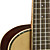  TOM - (TUC-680M) Solid Spruce Concert Ukulele with Bag