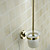  Ti-PVD Wall Mount Toilet Brush Holder(1018-J-80-4)