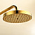  Ti-PVD Wall Mount Rain + Handheld Shower Faucet