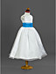  A-line Scoop Tea-length Organza Flower Girl Dress