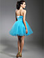  Ball Gown Strapless Short/Mini Satin Tulle Cocktail Dress