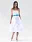  A-line Strapless Knee-length Taffeta Pick-up Bridesmaid/Homecoming Dress
