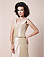  A-line V-neck Floor-length Taffeta Mother of the Bride Dress