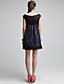  TS Stereoscopic Decoration Cape Sleeves Organza Dress