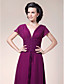  Sheath/Column V-neck Floor-length Chiffon Mother of the Bride Dress