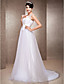  A-line Tulle Wedding Dress With Straps And Sweep/Brush Train