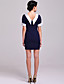  TS VINTAGE 1960s Contrast Collar Cute Dress