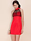  TS Mesh Halter Mini Dress (More Colors)