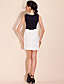  TS Metal Decor Neckline Butterfly Shape Sheath Dress (More Colors)