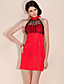  TS Mesh Halter Mini Dress (More Colors)